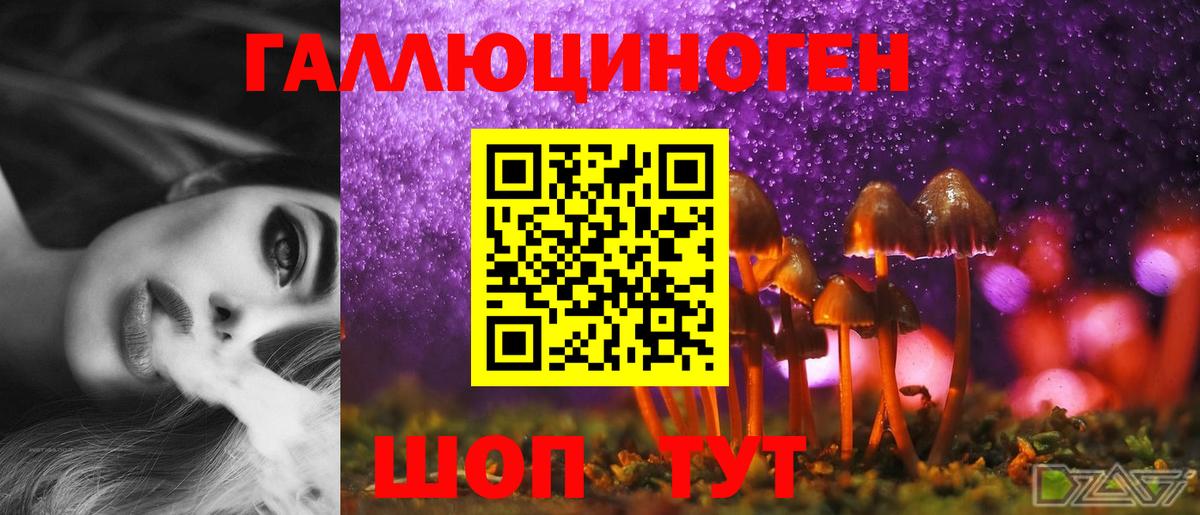Новороссийск  Псилоцибиновые грибы GOLDEN TEACHER  Вход с VPN  Галлюциногенные грибы MAGIC MUSHROOMS 